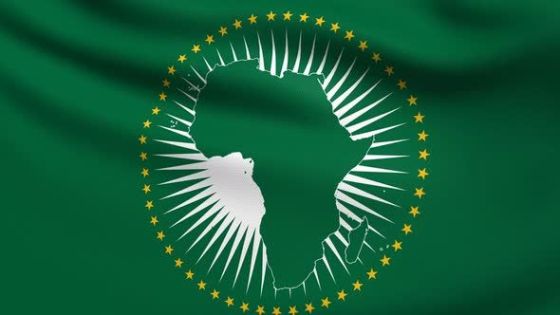 Inside the Diplomacy of the African Union